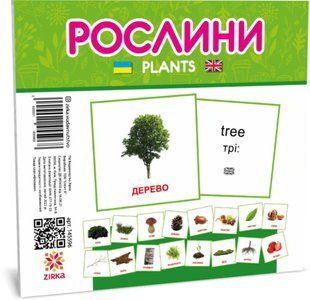 Картки міні 11*11см Рослини Укр (Зірка)