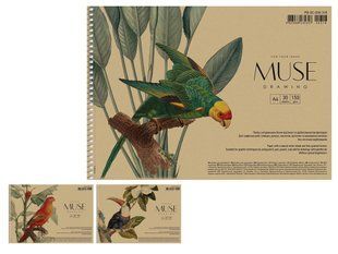 Альбом для малювання 30арк спіраль Школярик MUSE 150г/м2