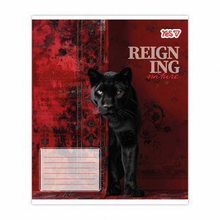 Зошит шкільний Yes 48 аркушів клітинка Reign ing (10)