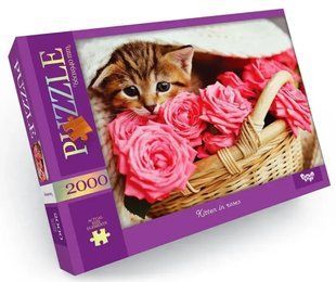 Пазли 2000 ел. 660*940 01-05 Danko Toys