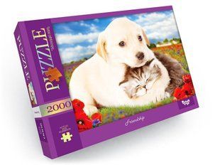 Пазли 2000 ел. 660*940 01-09 Danko Toys