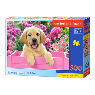 Пазли 300ел 40*29см ЦУЦЕНЯ У ЯЩИКУ Castorland