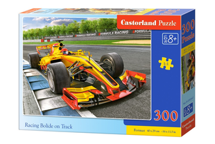 Пазли 300ел 40*29см БАЛІД НА ТРАСІ Castorland