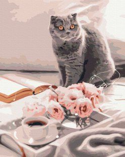 Картина за номерами 40*50см Улюблений британець BrushMe