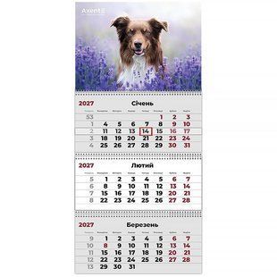 Календар настінний на пружині 2027 квартальний Axent Dogs 1 29,7*63см 3 пружини