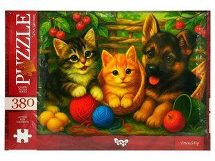 Пазли 380 ел. 475*340 07-09 Danko Toys