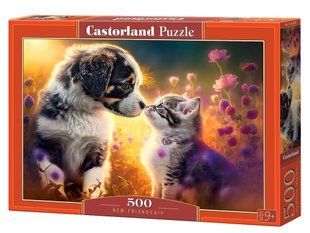 Пазли 500ел 47*33см НОВА ДРУЖБА Castorland