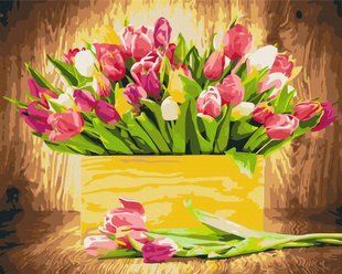 Картина за номерами 40*50см Святкові тюльпани BrushMe