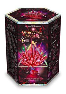 Набір для дослідів з кристалами Growing Cristal Danko Toys