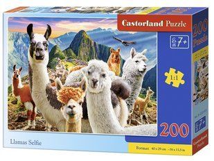 Пазли 200ел 40*29см СЕЛФІ ЛАМ Castorland