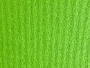 Папір для дизайну EIIe Erre A3 №10 verde picello 220г/м2 Fabriano