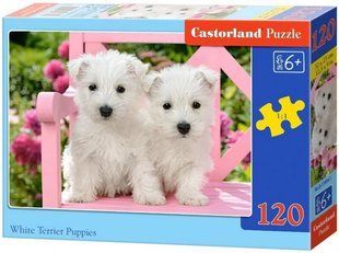 Пазли 120ел 32*23см ЦУЦЕНЯТА Castorland